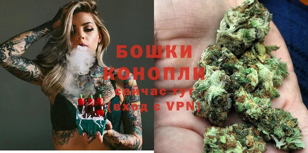 PSILOCYBIN Абаза