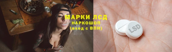 PSILOCYBIN Абаза