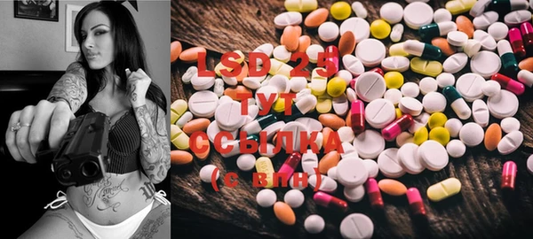 PSILOCYBIN Абаза