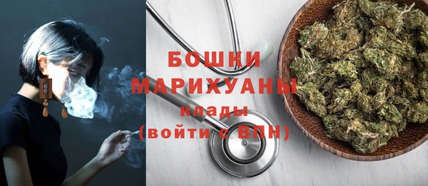 PSILOCYBIN Абаза
